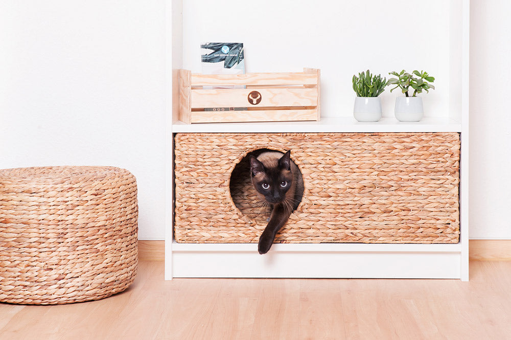 Geflochtener Katzenkorb für Regal.