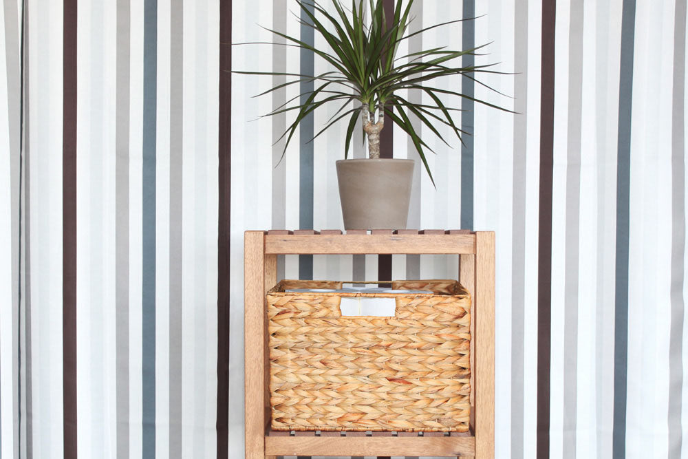 Pflanze auf Regal mit Korb