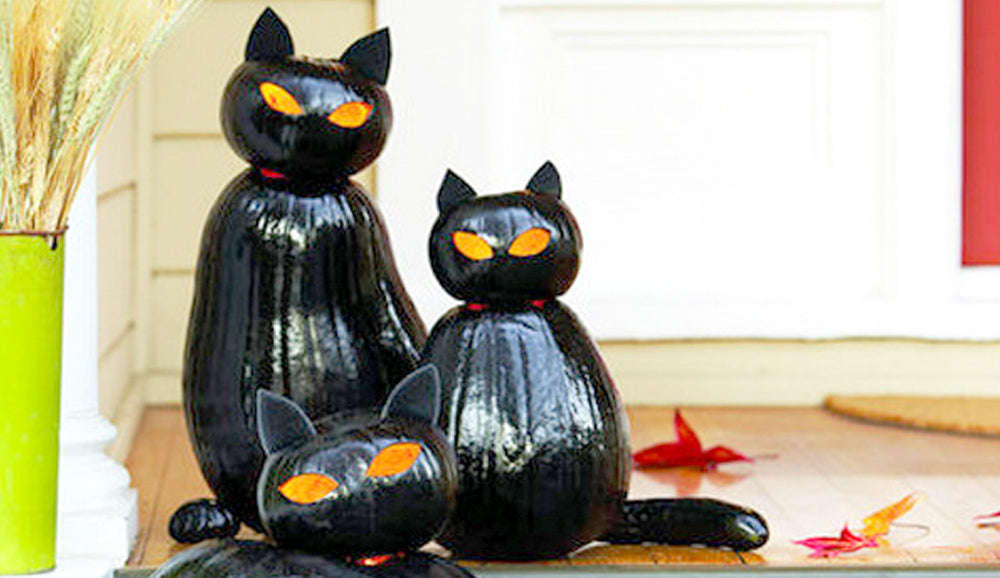 Schwarze Katzenfiguren aus Kürbissen.