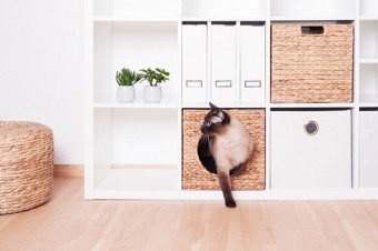Katzenkorb für Kallax und Billy Regal von Ikea